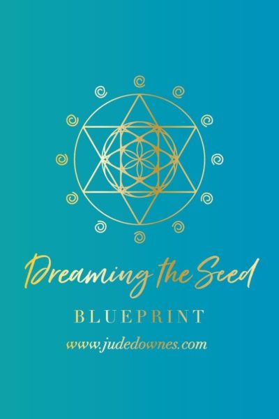 Dreaming the Seed Blueprint Report & half hour reading